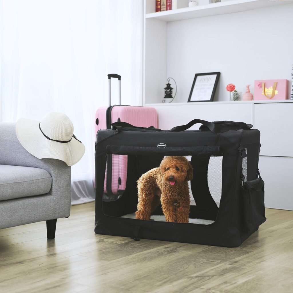 Kuidas valida kassi transpordikotti?