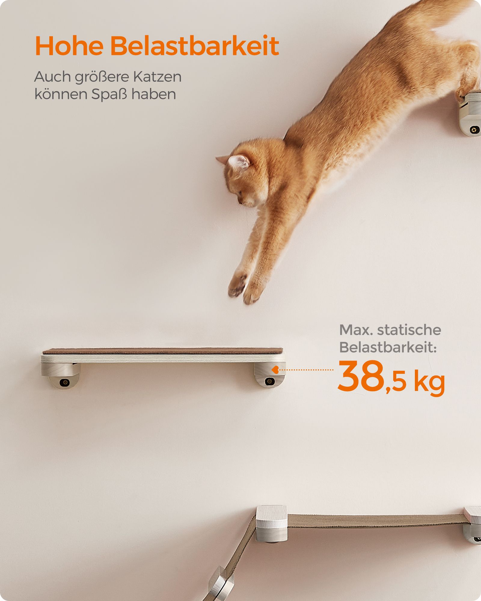 Kassi ronimispuu 47 x 28 x 8 cm pruun 5 Kassi ronimispuu 47 x 28 x 8 cm pruun - Image 5