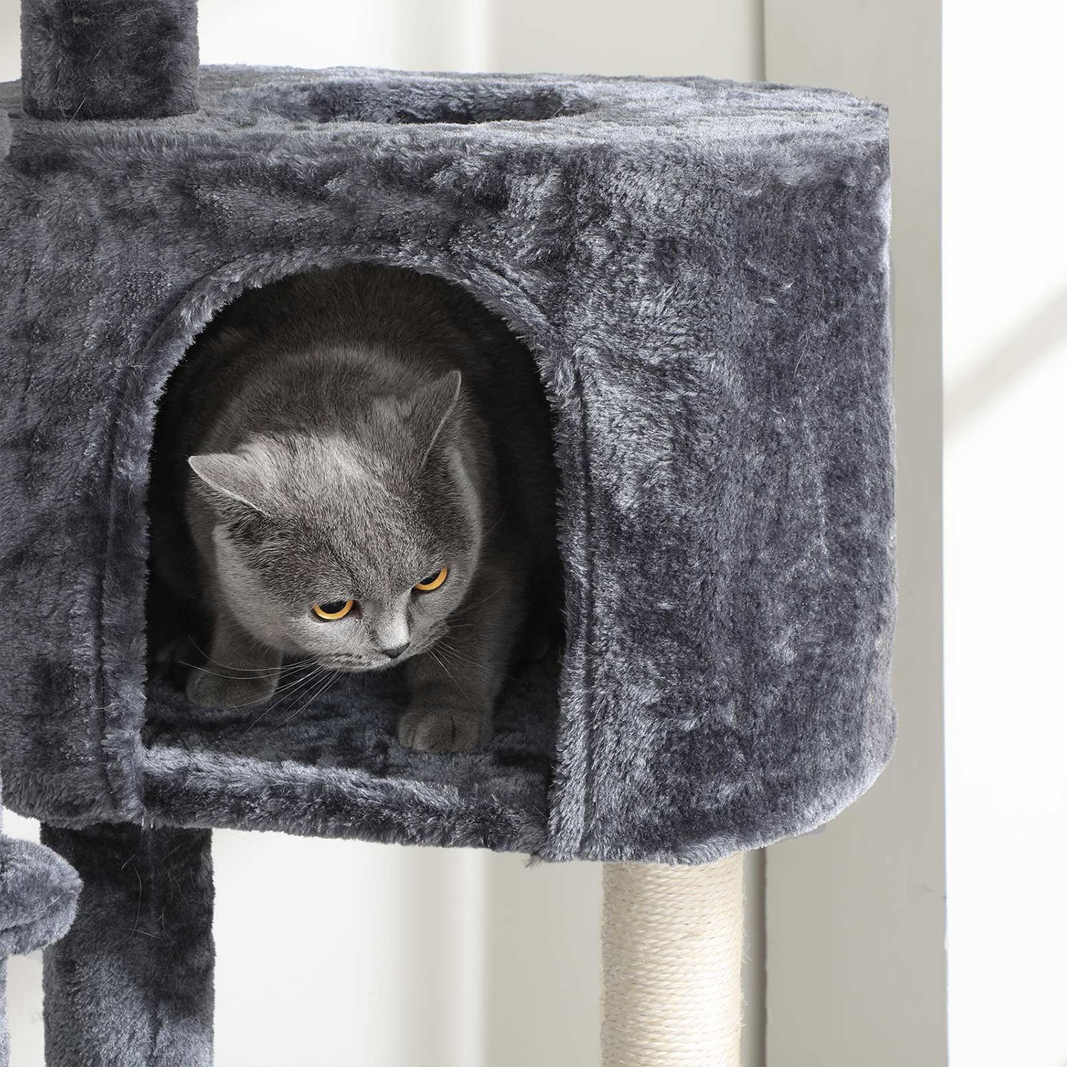 Kassi ronimispuu 60 x 45 cm tume 4 Kassi ronimispuu 60 x 45 cm tume - Image 4