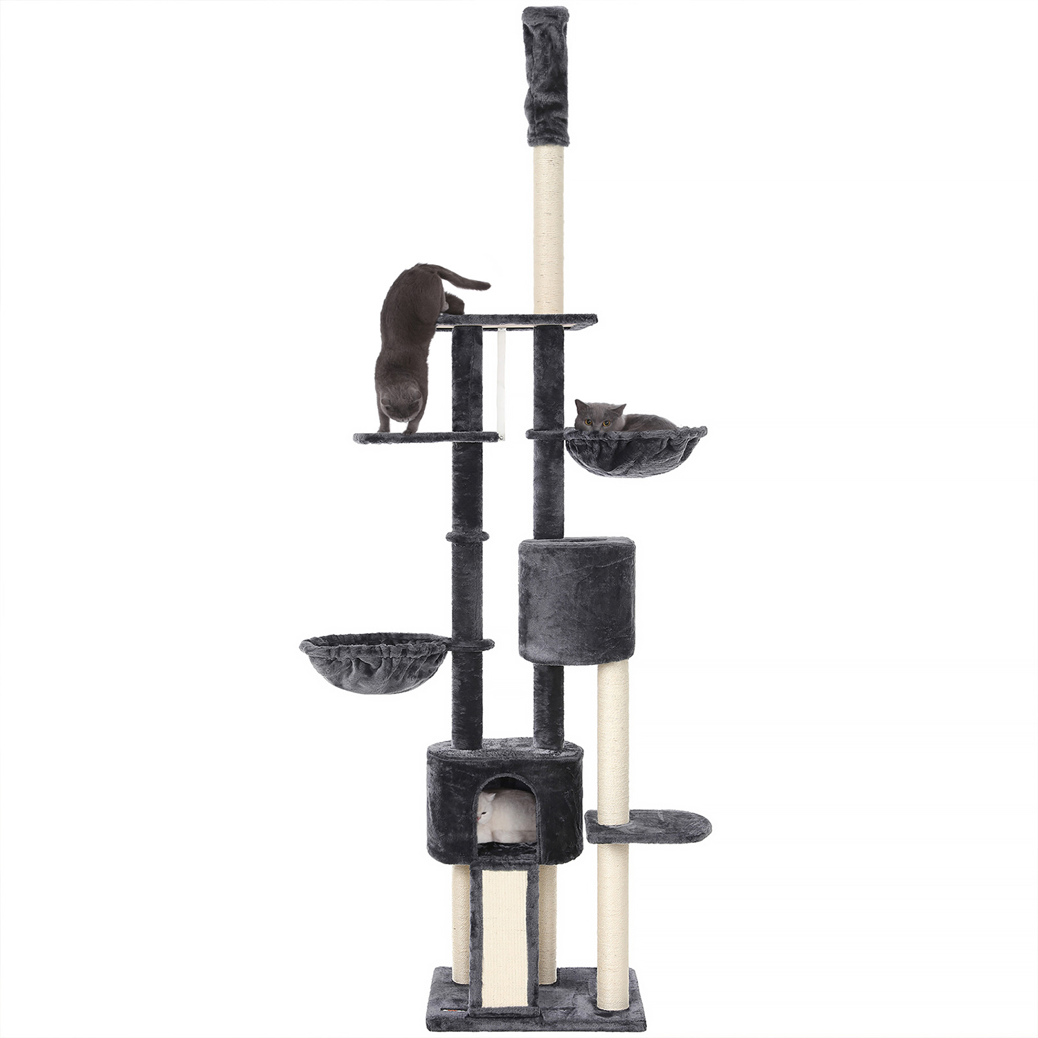 Kassi ronimispuu 60 x 45 cm tume 7 Kassi ronimispuu 60 x 45 cm tume - Image 7